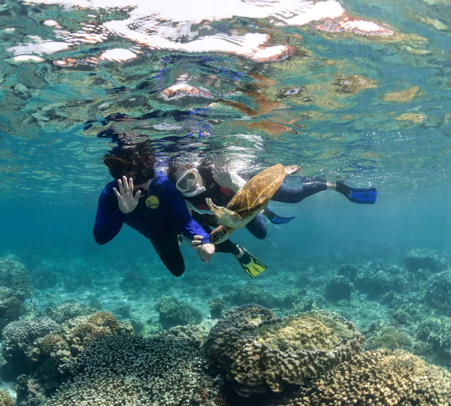 Muscat: Daymaniyat Islands Snorkeling Trip with BBQ Lunch - Group size, pace, and the main drawbacks