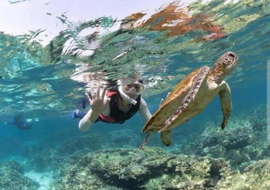 Muscat: Daymaniyat Islands Snorkeling Trip with BBQ Lunch - The boat ride to nine protected islands