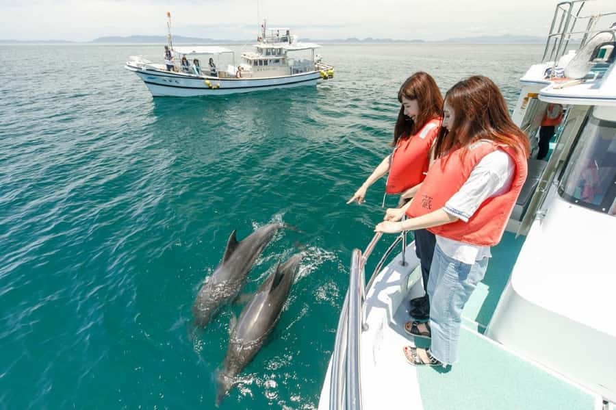 Muscat: Dolphin Watching and Snorkeling Tour - Muscat’s dolphins take center stage