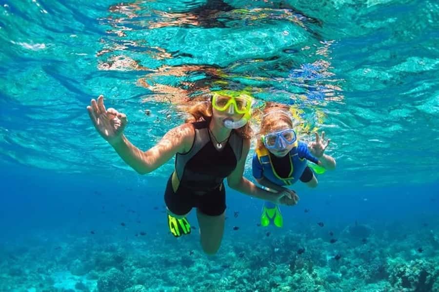 Muscat: Snorkeling and Dolphin Watching Tour - Watching dolphins in open water