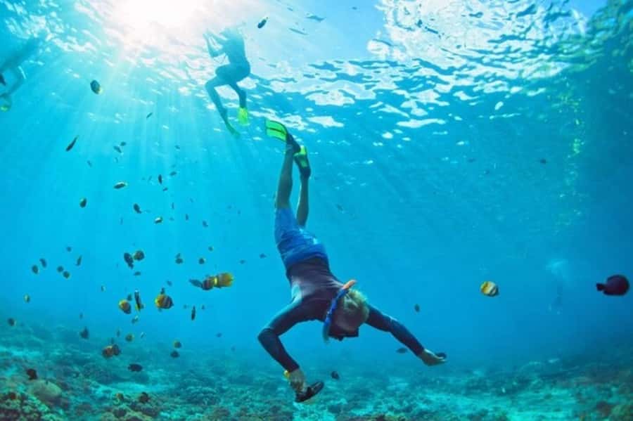 Muscat: Snorkeling and Dolphin Watching Tour - Who will enjoy this Muscat boat trip