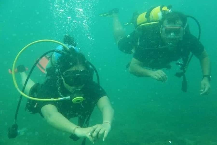Muscat: Snorkeling and Dolphin Watching Tour - Booking details that affect your decision