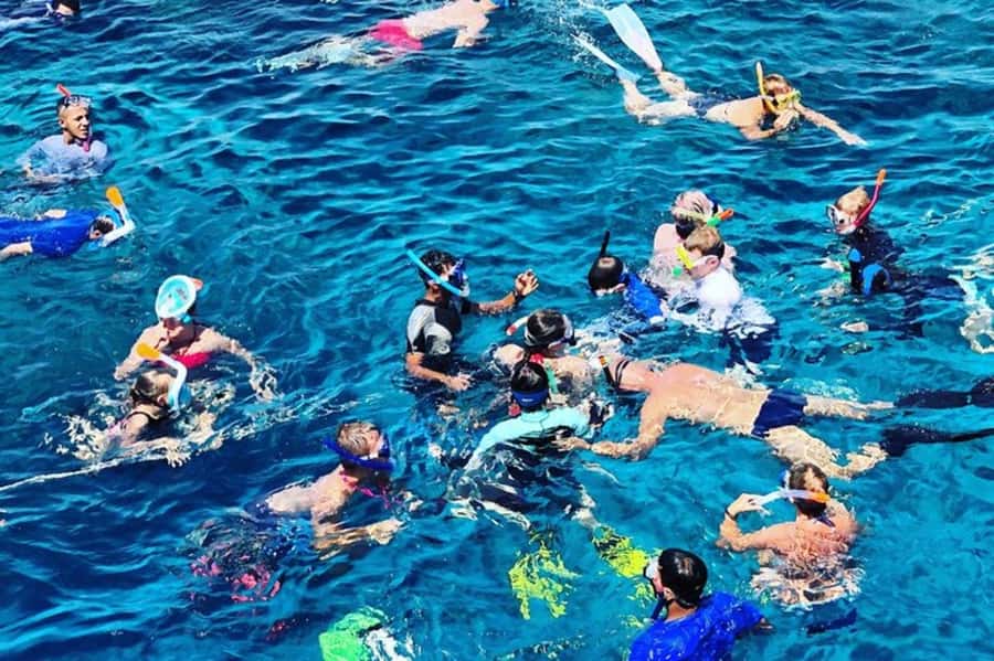 Muscat: Snorkeling and Dolphin Watching Tour - Should you book Nobles Marine Tours?