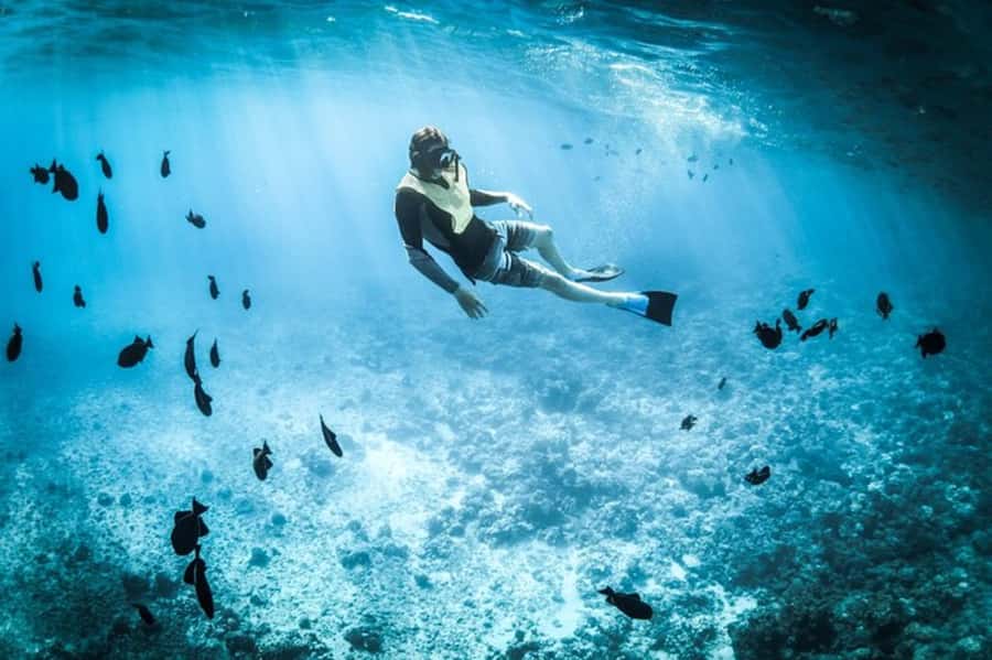 Muscat: Snorkeling and Dolphin Watching Tour - The boat ride and Muscat’s coastal views