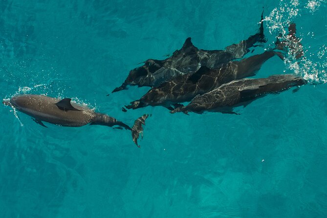 Na Pali Coast Half-Day Raft and Snorkel Adventure - Breakfast or lunch on a moving raft