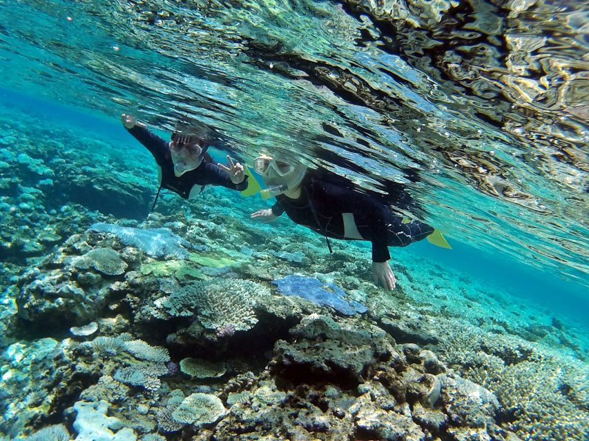 Naha, Okinawa: Keramas Island Snorkeling Day Trip with Lunch - How much value do you get for $70?