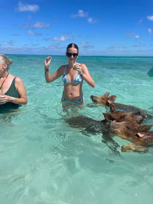 Nassau: 3-Island Snorkel Tour with Pigs, Beach Club, & Lunch - Green Cay and the sea turtle snorkel