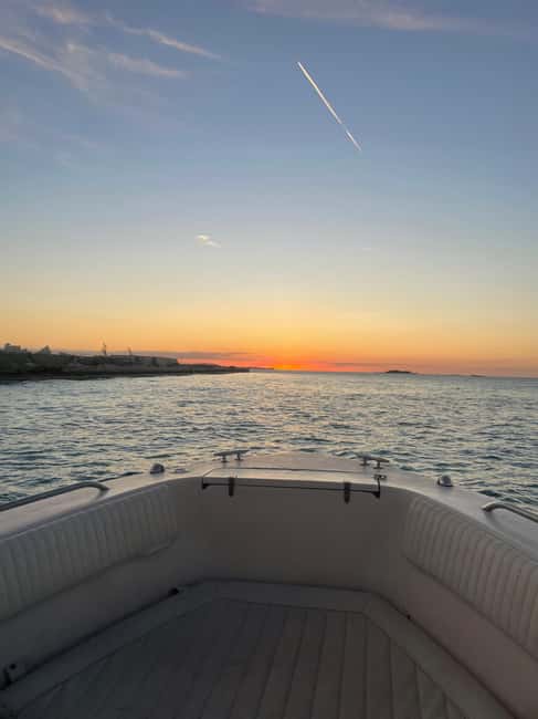 Nassau: 3 Islands Boat w/ Swimming Pigs, Snorkeling & Turtle - Green Cay: a short turtle watch from the boat