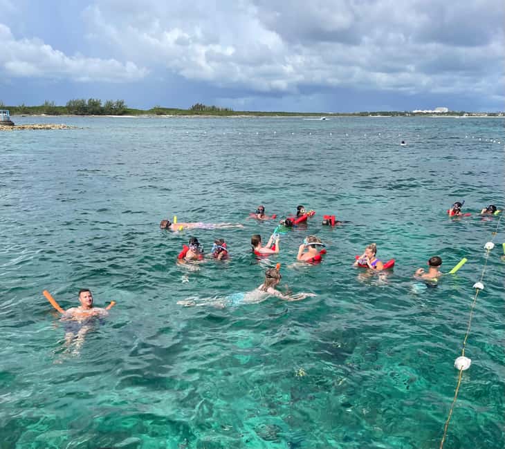 Nassau: 3 Islands Boat w/ Swimming Pigs, Snorkeling & Turtle - Who will enjoy this most?