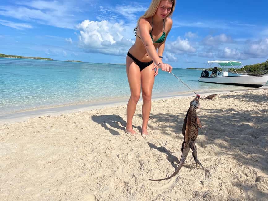 Nassau: 3 Islands Boat w/ Swimming Pigs, Snorkeling & Turtle - Pickup, what to bring, and small practical details