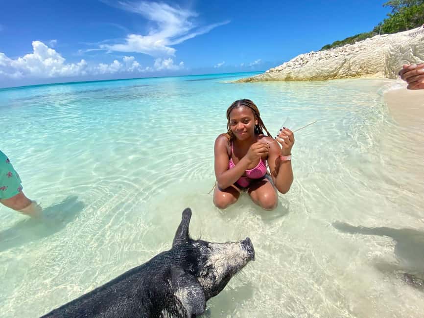 Nassau: 3 Islands Tour, Snorkel, Pig Beach, Turtles & Lunch - Pearl Island: your main reef snorkeling stop