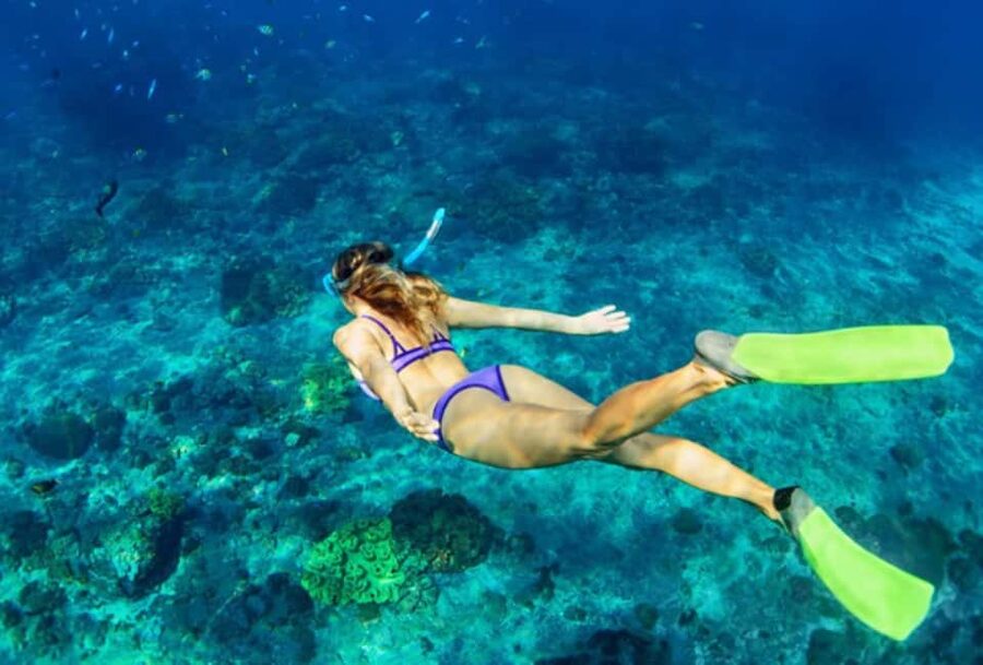 Nassau: Catamaran Sail and Snorkel Tour - What to expect at Athol Island or Spruce Cay