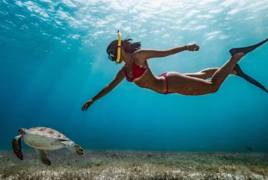 Nassau: Catamaran Sail and Snorkel Tour - Returning with rum punch and island views