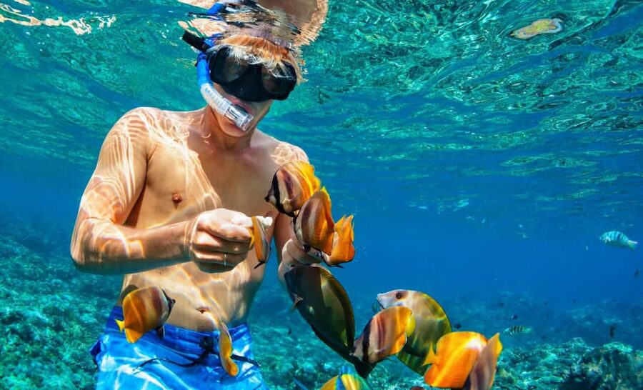 Nassau: Catamaran Sail and Snorkel Tour - Who will enjoy this Nassau sail?