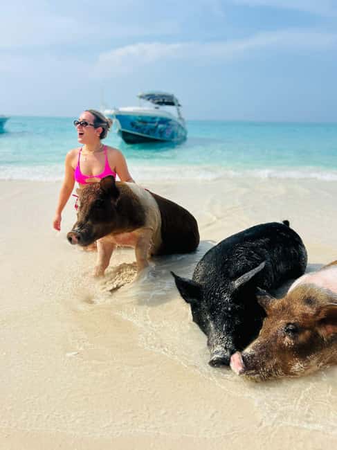 Nassau: Half-Day Swimming Pigs, Reef Snorkel & Beach Club - Key points at a glance