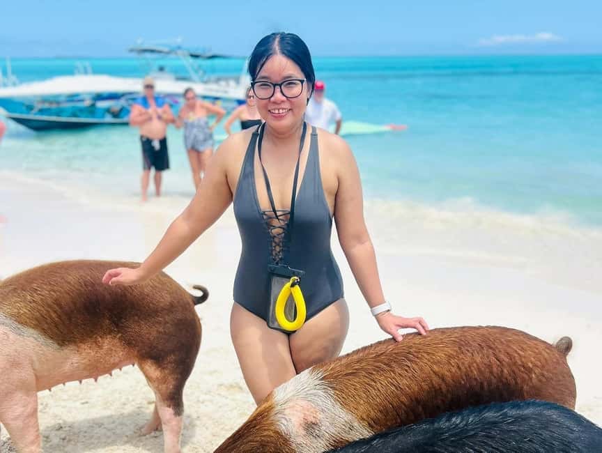 Nassau: Half-Day Swimming Pigs, Reef Snorkel & Beach Club - Why this half-day route works well in Nassau