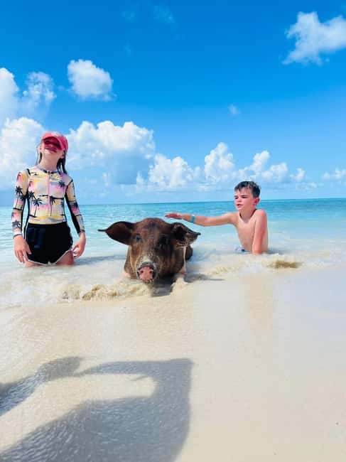 Nassau: Half-Day Swimming Pigs, Reef Snorkel & Beach Club - The powerboat ride across New Providence waters