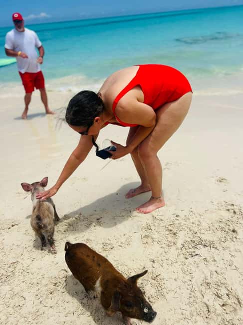 Nassau: Half-Day Swimming Pigs, Reef Snorkel & Beach Club - One comfortable hour snorkeling at Athol Island