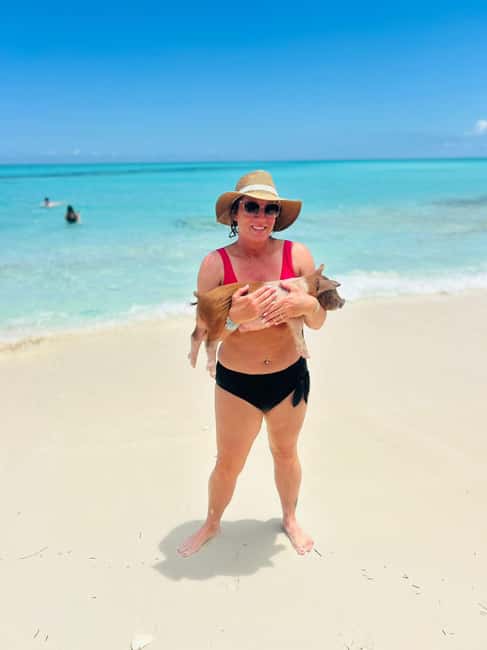 Nassau: Half-Day Swimming Pigs, Reef Snorkel & Beach Club - Turtle watching at Green Cay