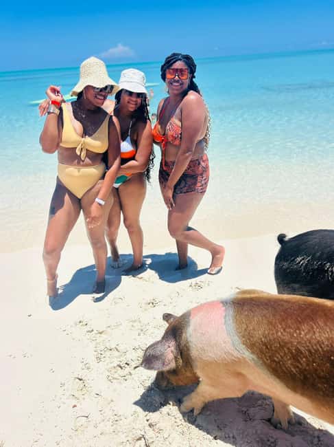 Nassau: Half-Day Swimming Pigs, Reef Snorkel & Beach Club - Rose Island beach club: the longest and most flexible stop