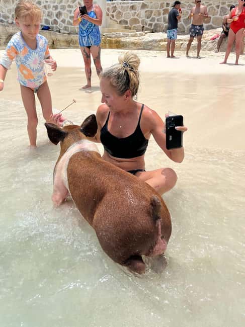 Nassau: Pigs, Snorkel, Turtles, Lunch, Private Beach Club - A fast start from Paradise Island