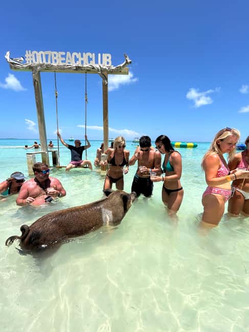 Nassau: Pigs, Snorkel, Turtles, Lunch, Private Beach Club - Green Cay and the turtle encounter