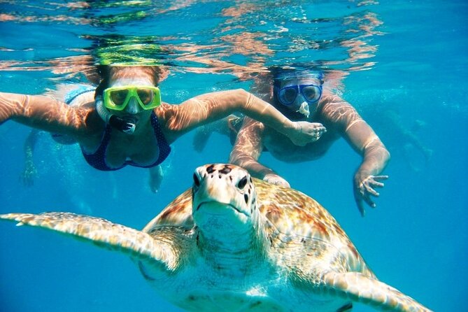 Nassau: Private Island & Snorkeling, Turtles, Drinks, & BBQ - Key things to know before booking