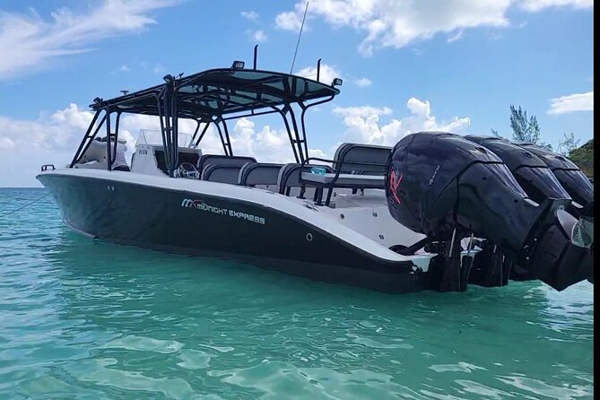 Nassau: Private Island & Snorkeling, Turtles, Drinks, & BBQ - Green Cay and the protected sea turtles