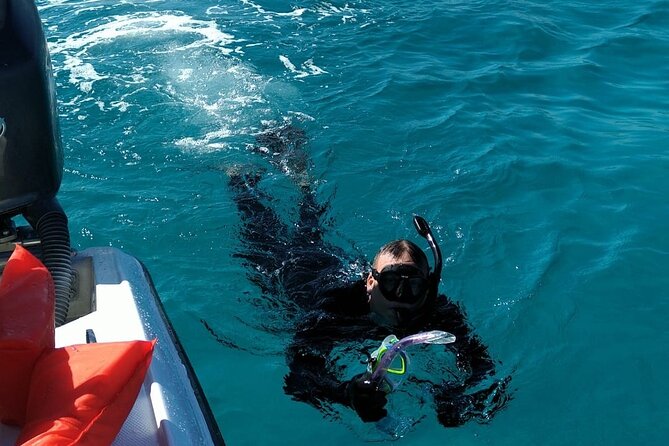 Nassau: Private Island & Snorkeling, Turtles, Drinks, & BBQ - Is $153 a fair price for four hours?