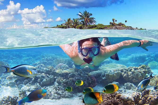 Nassau: Private Island & Snorkeling, Turtles, Drinks, & BBQ - Pearl Island reef snorkeling for about 30 minutes