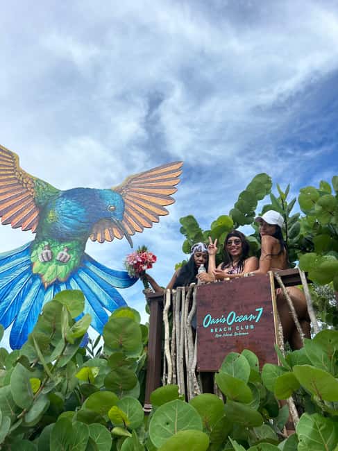 Nassau: Reef Snorkeling, Turtles, Lunch & Private Beach Club - Lunch, drinks and the optional pig encounter