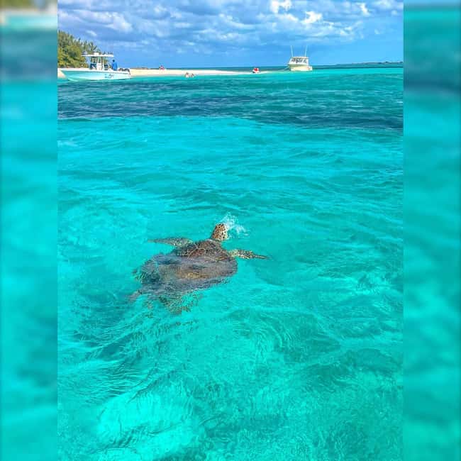 Nassau: Rose 3-Island Tour with Snorkeling and Lunch - Lunch is convenient, but clarify where it happens