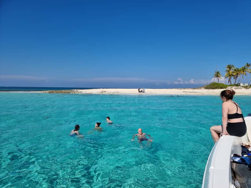 Nassau: Rose Island Swimming Pigs & Turtles Snorkeling Tour - The final call: is it worth $127?