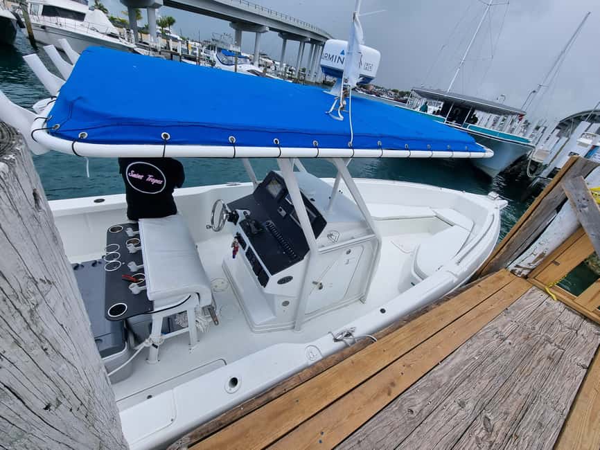 Nassau: Rose Island Swimming Pigs & Turtles Snorkeling Tour - Boat comfort, weather, and the ride itself