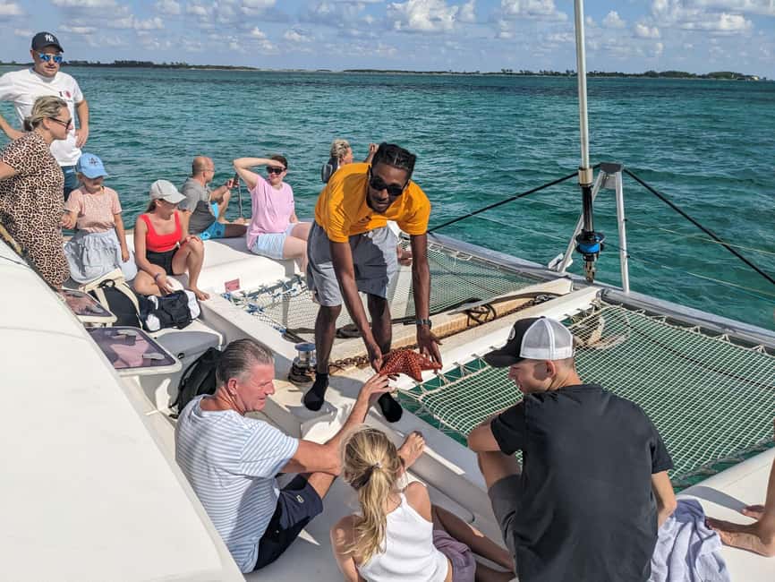 Nassau: Snorkeling, Pig Beach, Swim with Turtles, and Lunch - A Three-Island Day on the Water