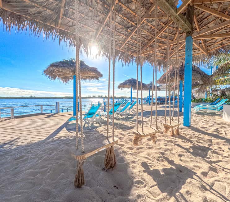 Nassau: Sun Cay Day Trip, Snorkel, Iguana Encounter, & Lunch - Key points before you book