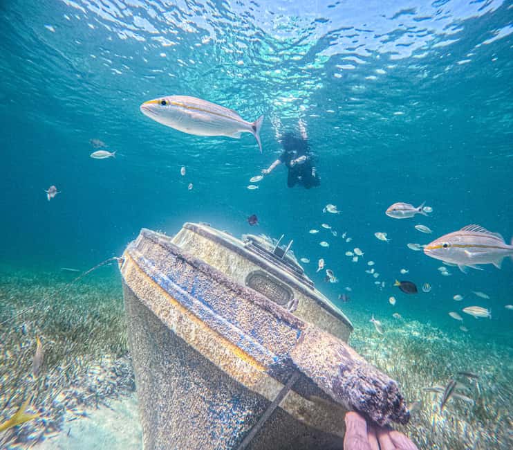 Nassau: Sun Cay Day Trip, Snorkel, Iguana Encounter, & Lunch - What the five-hour Sun Cay trip is really like