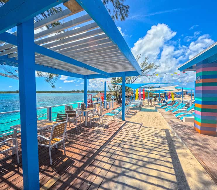 Nassau: Sun Cay Day Trip, Snorkel, Iguana Encounter, & Lunch - The 15 to 20 minute iguana encounter
