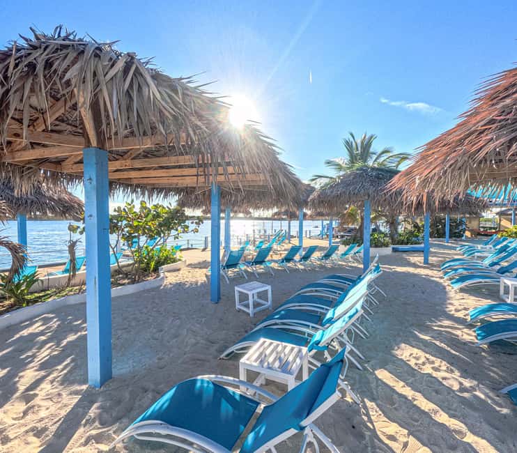 Nassau: Sun Cay Day Trip, Snorkel, Iguana Encounter, & Lunch - What the $99 price includes