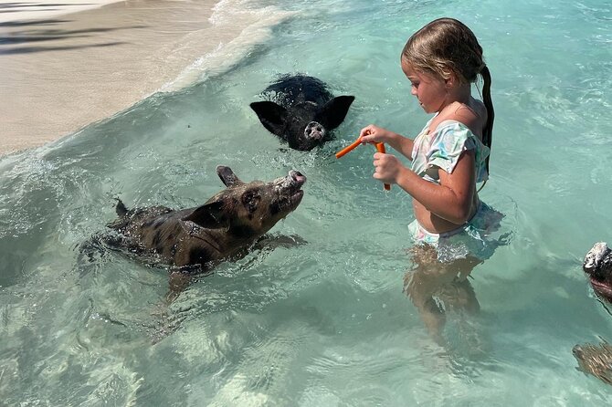 Nassau: Swimming Pigs And Snorkel With Turtles - Green Cay snorkeling with sea turtles