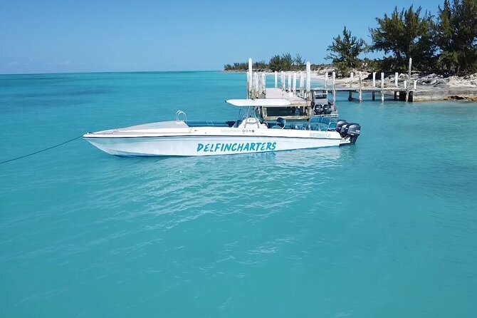 Nassau: Swimming Pigs And Snorkel With Turtles - Timing and pickup for cruise passengers