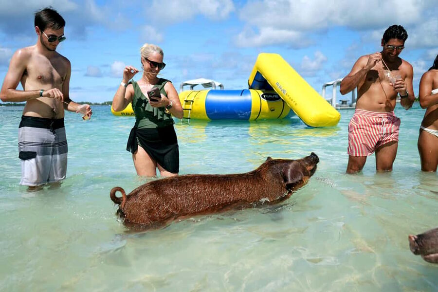 Nassau: Swimming Pigs, Snorkeling, Lunch, & Beach Boat Tour - The private beach has more to do than sunbathe