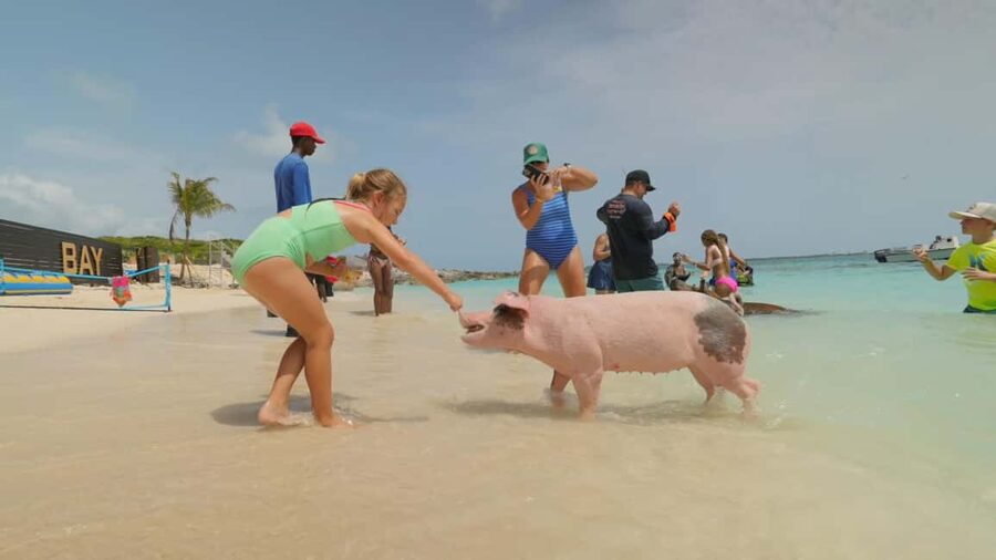 Nassau: Swimming Pigs, Snorkeling, Lunch, & Beach Boat Tour - Who will enjoy this tour most