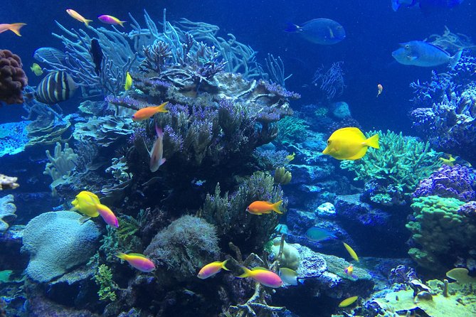 National Park Snorkeling Excursion - The ride home and the open bar