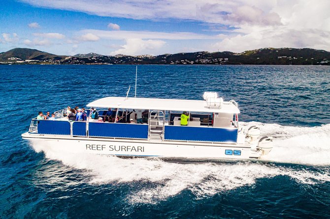 National Park Snorkeling Excursion - Getting to the correct dock matters