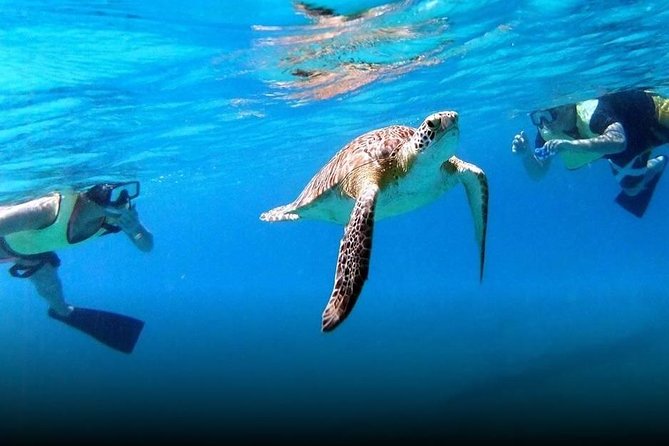 National Park Snorkeling Excursion - Stop one: your first hour in the water