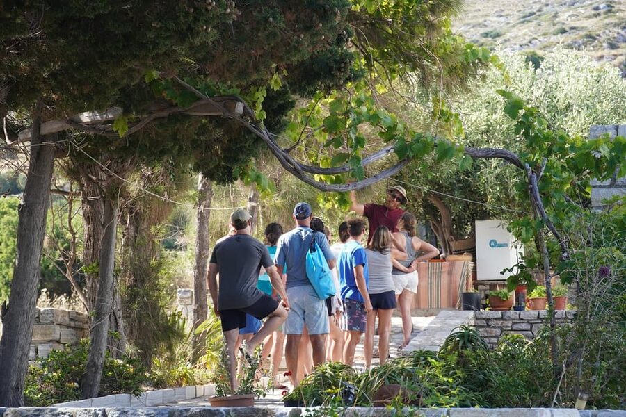 Naxos: Kampos Farm Sea Kayak Tour with Snorkeling & Picnic - Booking details that matter
