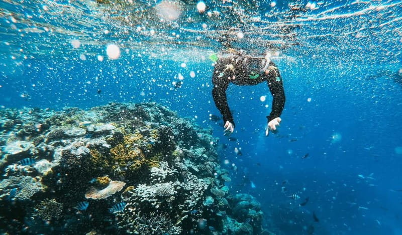 Naxos: Taormina Boat Tour with Snorkeling and Prosecco - Price, timing, and overall value
