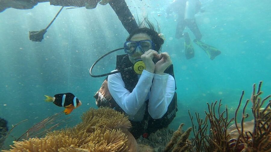 Nha Trang: Coral Reef Snorkeling and Floating Bar Party - Pickup, limousine ride, and the trip to the islands
