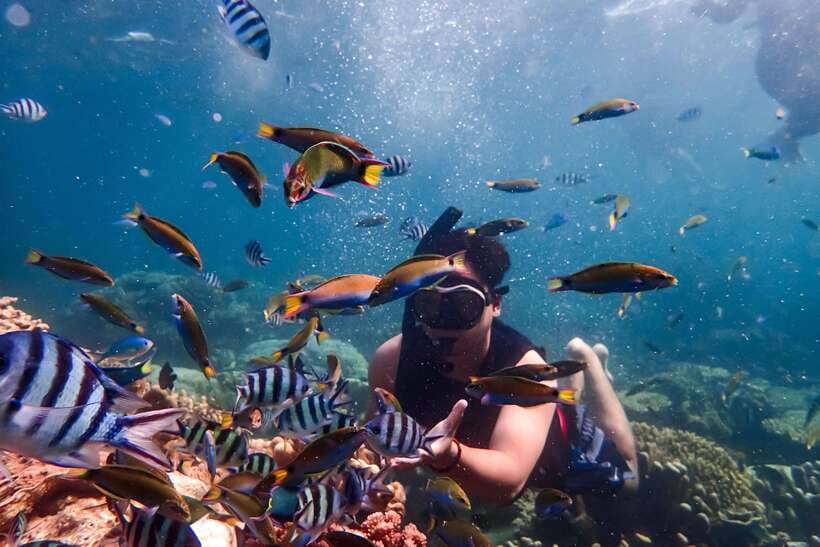 Nha Trang: Coral Reef Snorkeling, Mud Bath & Floating Bar - Key points at a glance